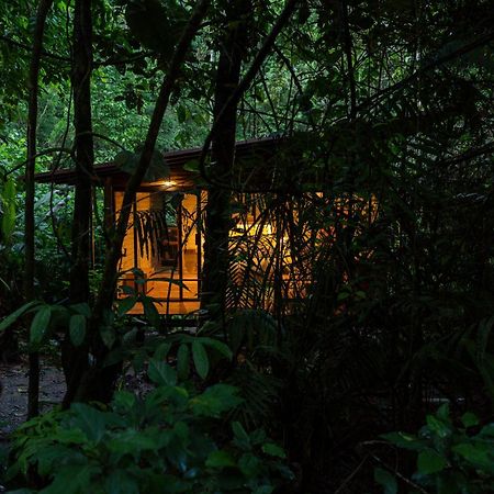 Puerto Misahuallí Hamadryade Lodge מראה חיצוני תמונה
