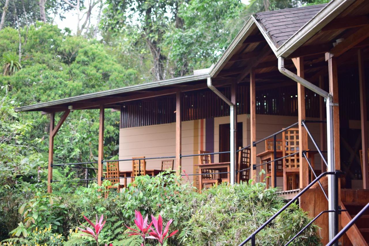 Puerto Misahuallí Hamadryade Lodge מראה חיצוני תמונה