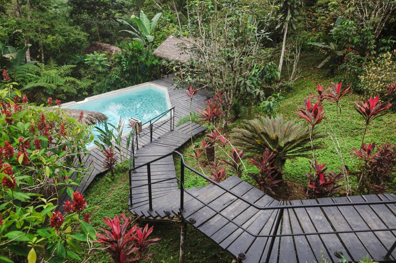 Puerto Misahuallí Hamadryade Lodge מראה חיצוני תמונה