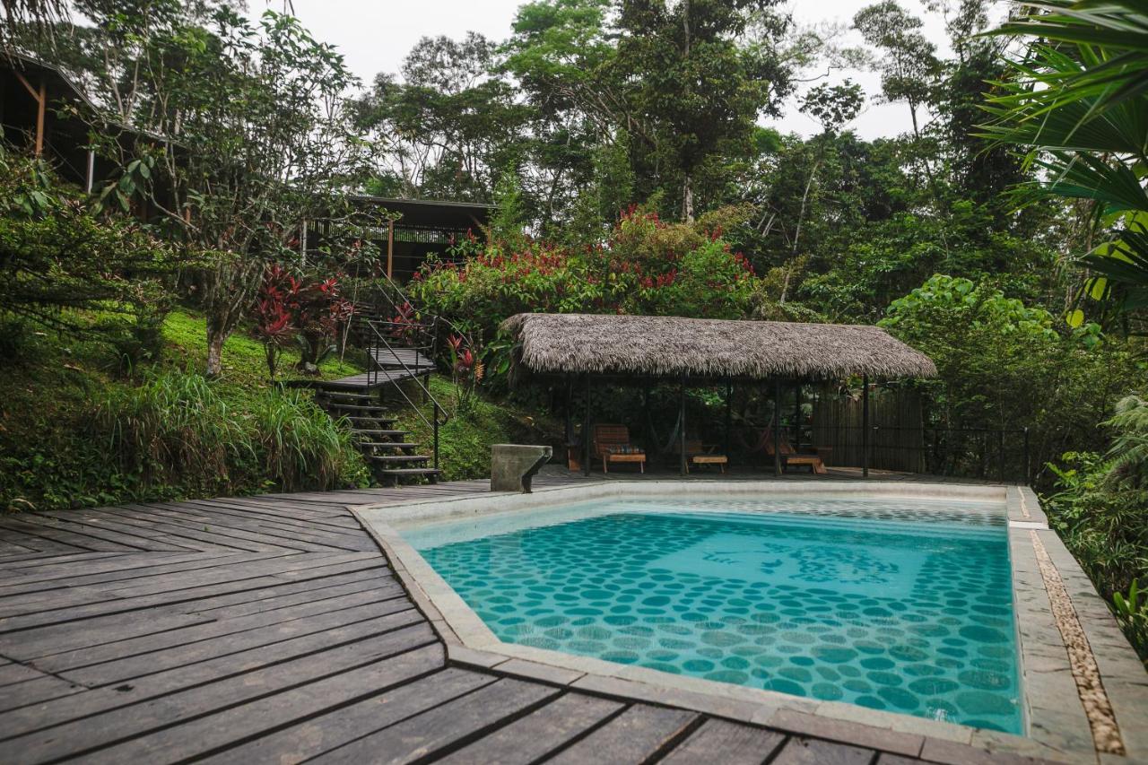 Puerto Misahuallí Hamadryade Lodge מראה חיצוני תמונה