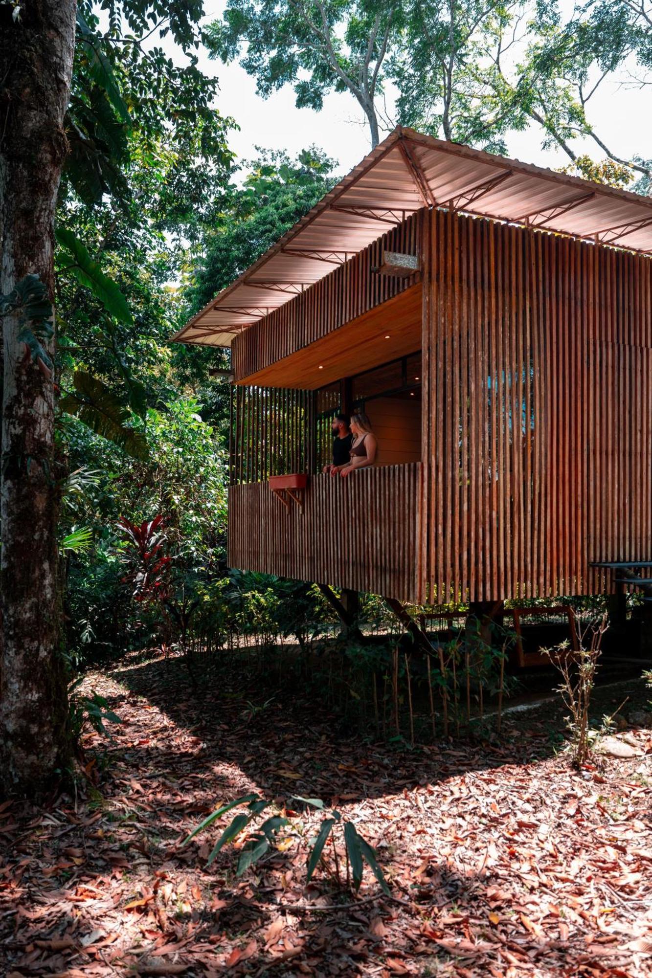 Puerto Misahuallí Hamadryade Lodge מראה חיצוני תמונה