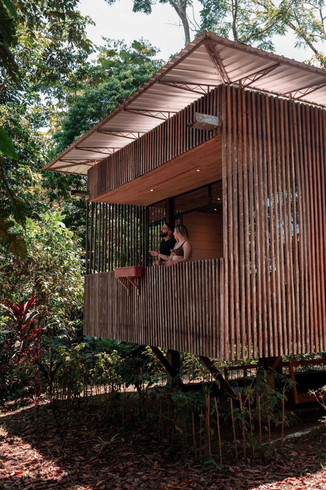 Puerto Misahuallí Hamadryade Lodge מראה חיצוני תמונה