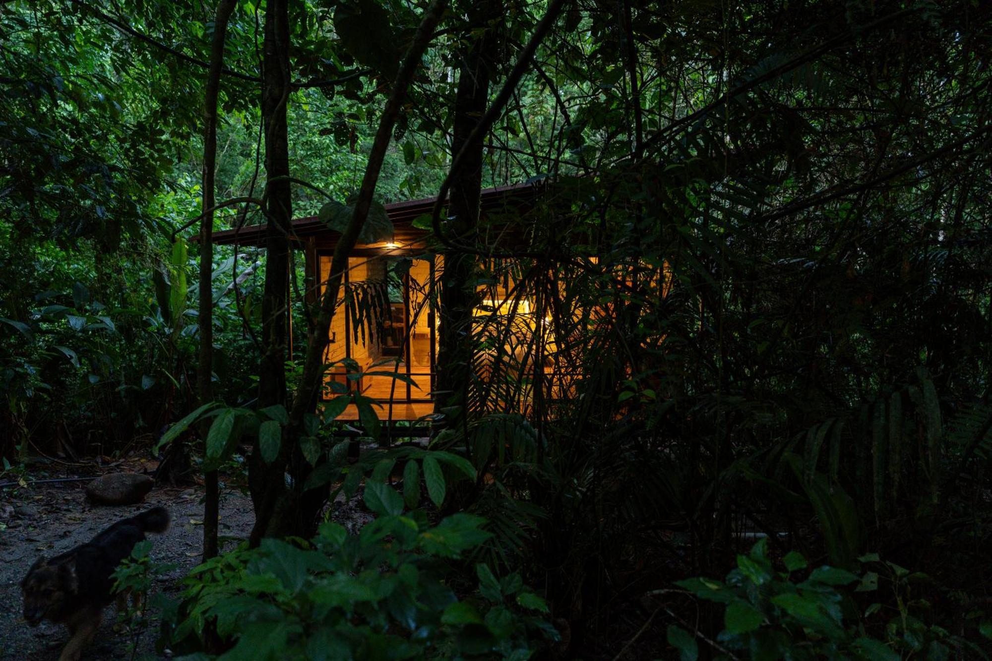Puerto Misahuallí Hamadryade Lodge מראה חיצוני תמונה